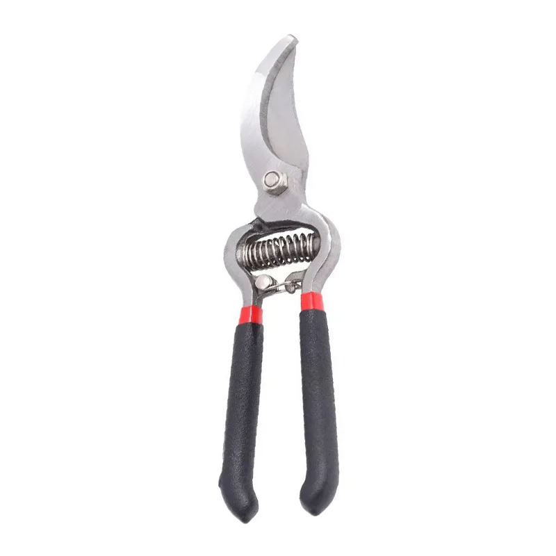 Khu vườn trái cây cắt tỉa kéo 8 inch